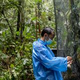 Mitarbeiter Riki Saputra checkt einen Käfig des Auswilderungs-Geheges im Nationalpark. Dort finden die Primaten ein reichhaltiges, natürliches Angebot an Pflanzen und kleinen Tieren, die sie jagen