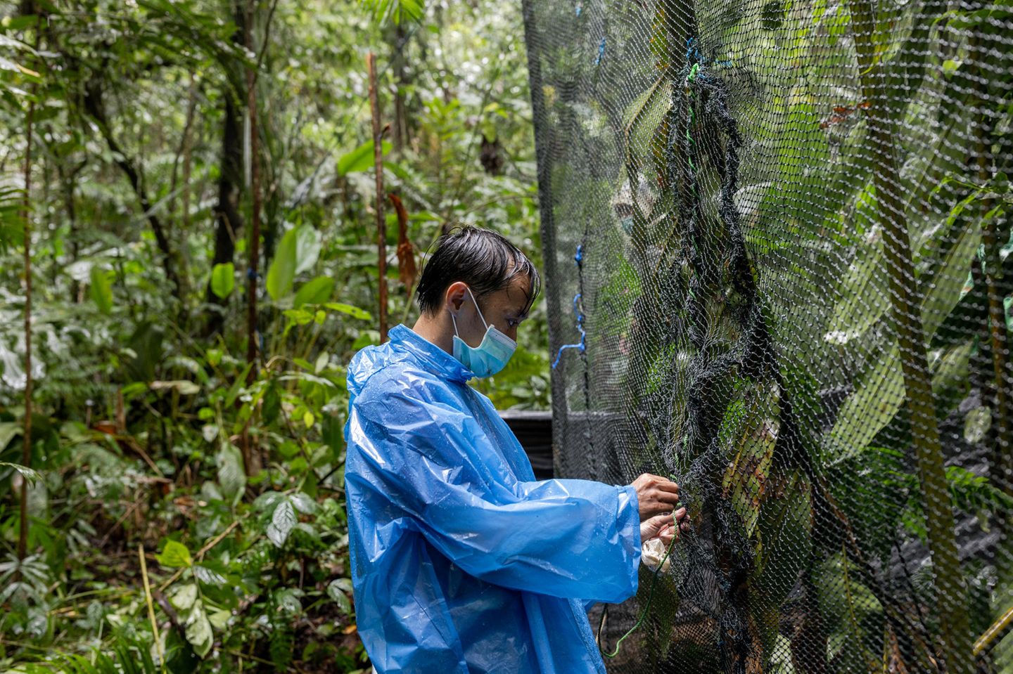 Mitarbeiter Riki Saputra checkt einen Käfig des Auswilderungs-Geheges im Nationalpark. Dort finden die Primaten ein reichhaltiges, natürliches Angebot an Pflanzen und kleinen Tieren, die sie jagen