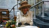 Königin Camilla