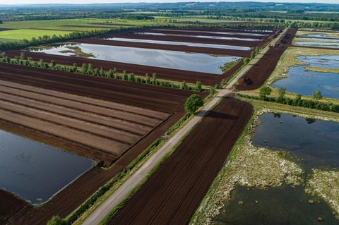 Luftaufnahme vom Campemoor in Niedersachsen, links braune abgetorfte, rechts renaturierte Flächen mit Tümpeln