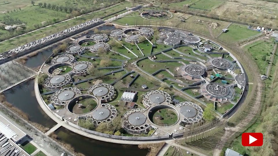 Überlastung in deutschen Tierheimen – Situation spitzt sich zu
