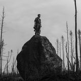 Feuerwehrmann auf einem Fels zwischen verbrannten Bäumen