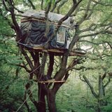 Ein Baumhaus in luftiger Höhe im Hambacher Forst.
