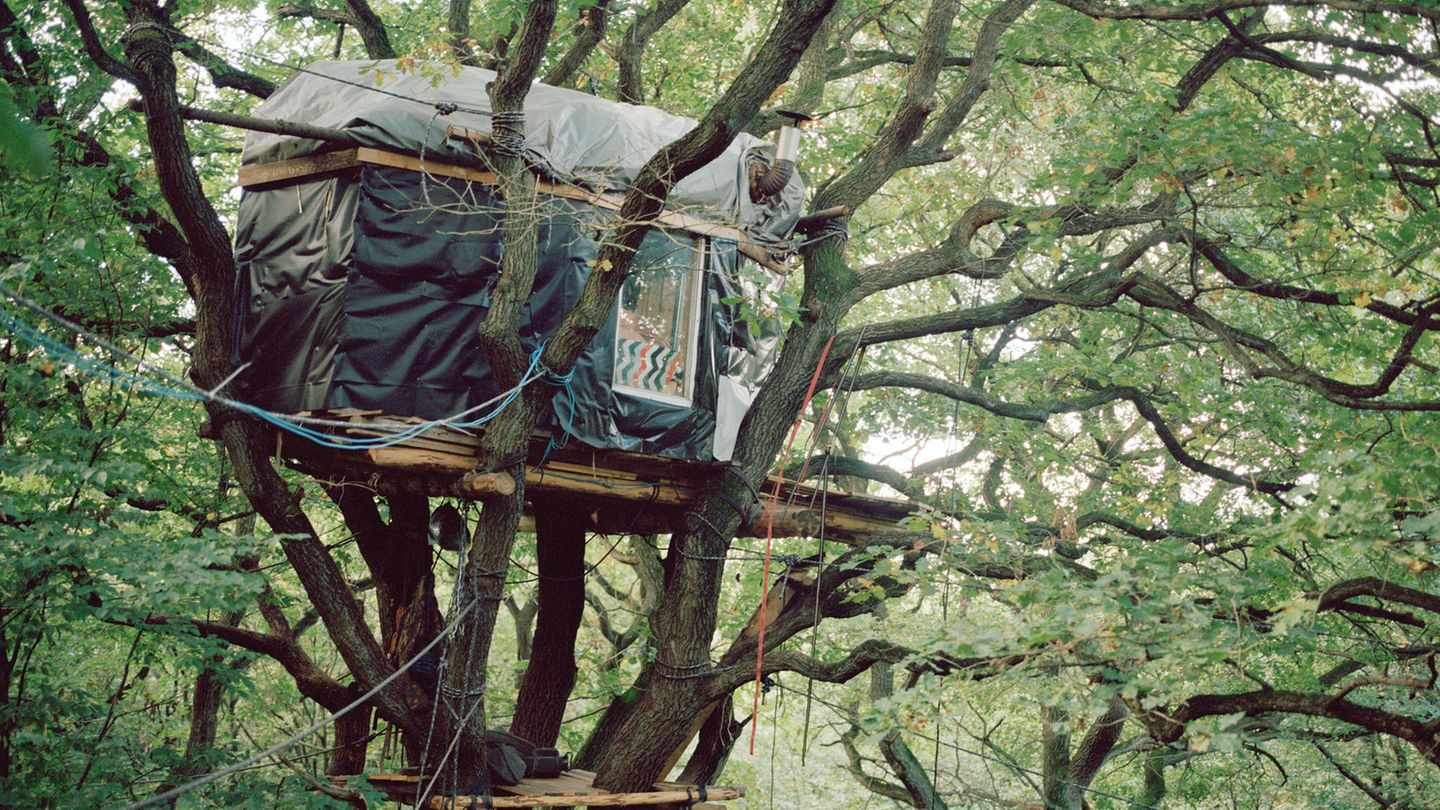 Ein Baumhaus in luftiger Höhe im Hambacher Forst. Ein Baumhaus in luftiger Höhe im Hambacher Forst.