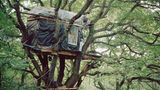Ein Baumhaus in luftiger Höhe im Hambacher Forst.