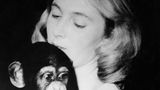 Jane Goodall trägt ein Gorilla Baby auf dem Arm
