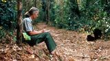 Jane Goodall (links) schreibt Notizen während sie im Dschungel Gorillas beobachtet