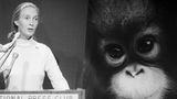 Jane Goodall (links) steht am Rednerpult und schaut ins Bild hinein. Auf der Hintergrundwand ist ein Gorilla Baby zu sehen