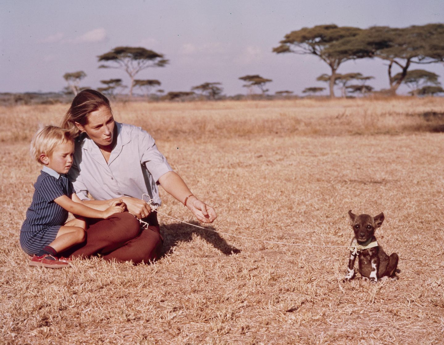 Jane Goodall mit ihrem Sohn Hugo Eric Louis van Lawick