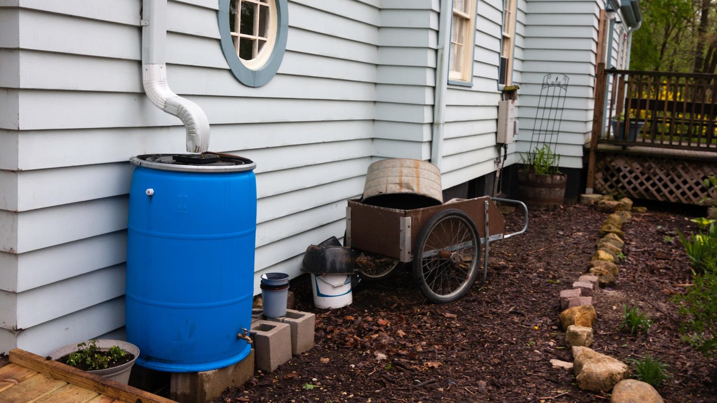 Regentonne Eine Regentonne im Garten