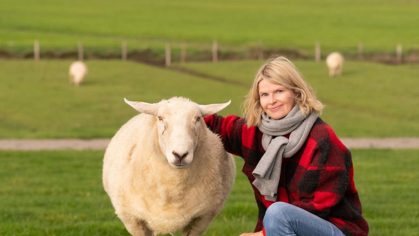 Lamb: A sheep saves author Anne Hansen