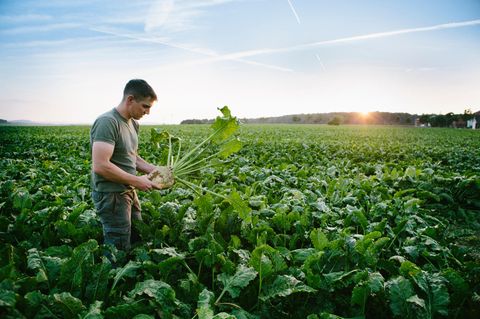Hier finden Sie die innovativsten Mittelständler im Bereich Landwirtschaft und Landtechnik. 