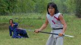 "Zwei Schlitzohren in der Knochenmühle" (auch: "Zwei Dreschflegel schlagen alles kurz und klein" oder "The Shadowman" oder "Jackie Chan – Superfighter III", engl. "The Fearless Hyena") ist ein 1979 in Hongkong gedrehter Martial-Arts-Film. Jackie Chan spielte nicht nur die Hauptrolle, sondern schrieb auch das Drehbuch und führte Regie.