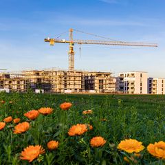 Neubau von Immobilien