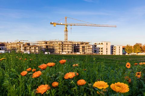 Neubau von Immobilien