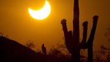 Partielle Sonnenfinsternis neben Kaktus