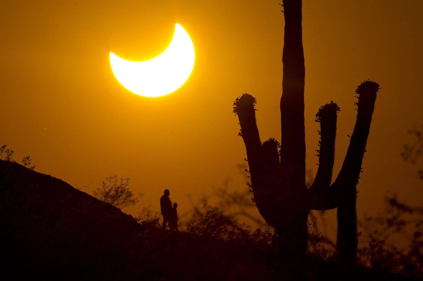 Partielle Sonnenfinsternis neben Kaktus