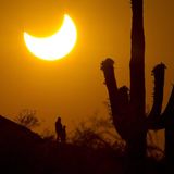 Partielle Sonnenfinsternis neben Kaktus