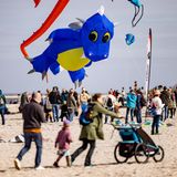 In Laboe bei Kiel tummeln sich Spaziergänger und Drachenfans am sonnigen Strand der Kieler Förde