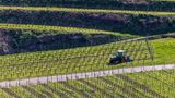Während viele Menschen in Deutschland ein freies Wochenende genießen, ist dieser Winzer bei Vogtsburg im Kaiserstuhl (Baden-Württemberg) wohl nicht zum Vergnügen durch seinen Weinberg.