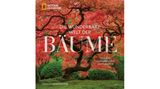 Welt der Bäume