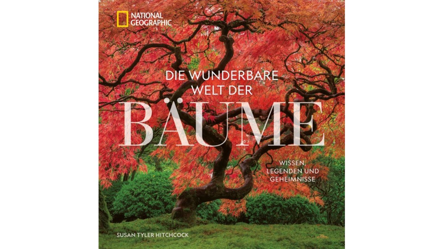 Welt der Bäume
