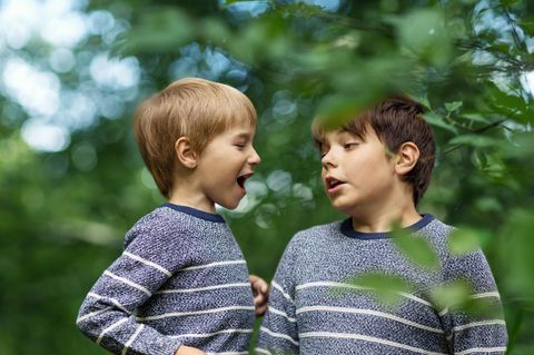 In Deutschland leben etwa drei Viertel der Kinder mit ihren Geschwistern zusammen. Das zeigen Zahlen des Statistischen Bundesamts aus dem Jahr 2021