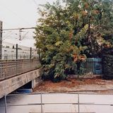 Müllcontainer, in dem die Leiche von Salomé entsorgt wurde