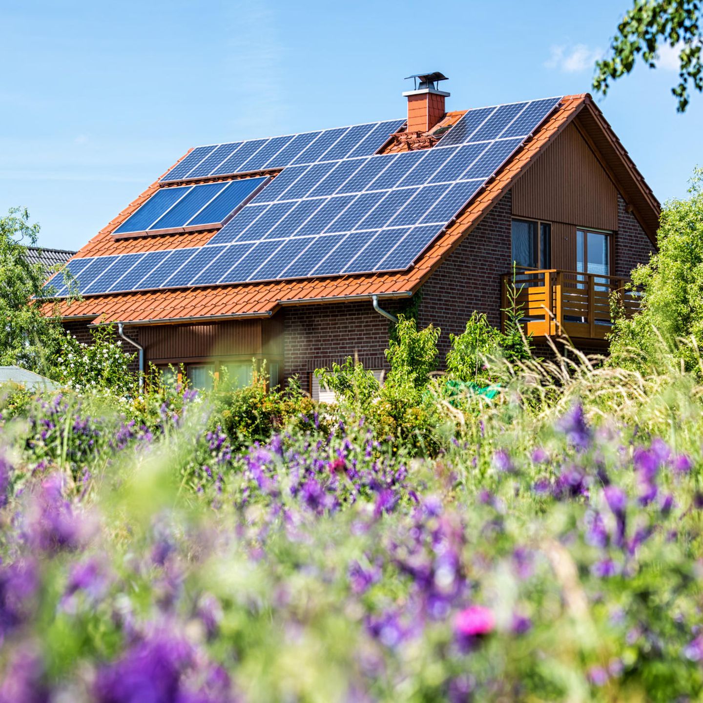 Der Hauskauf ist wieder attraktiver: Dieses Foto zeigt ein Einfamilienhaus mit Wiese