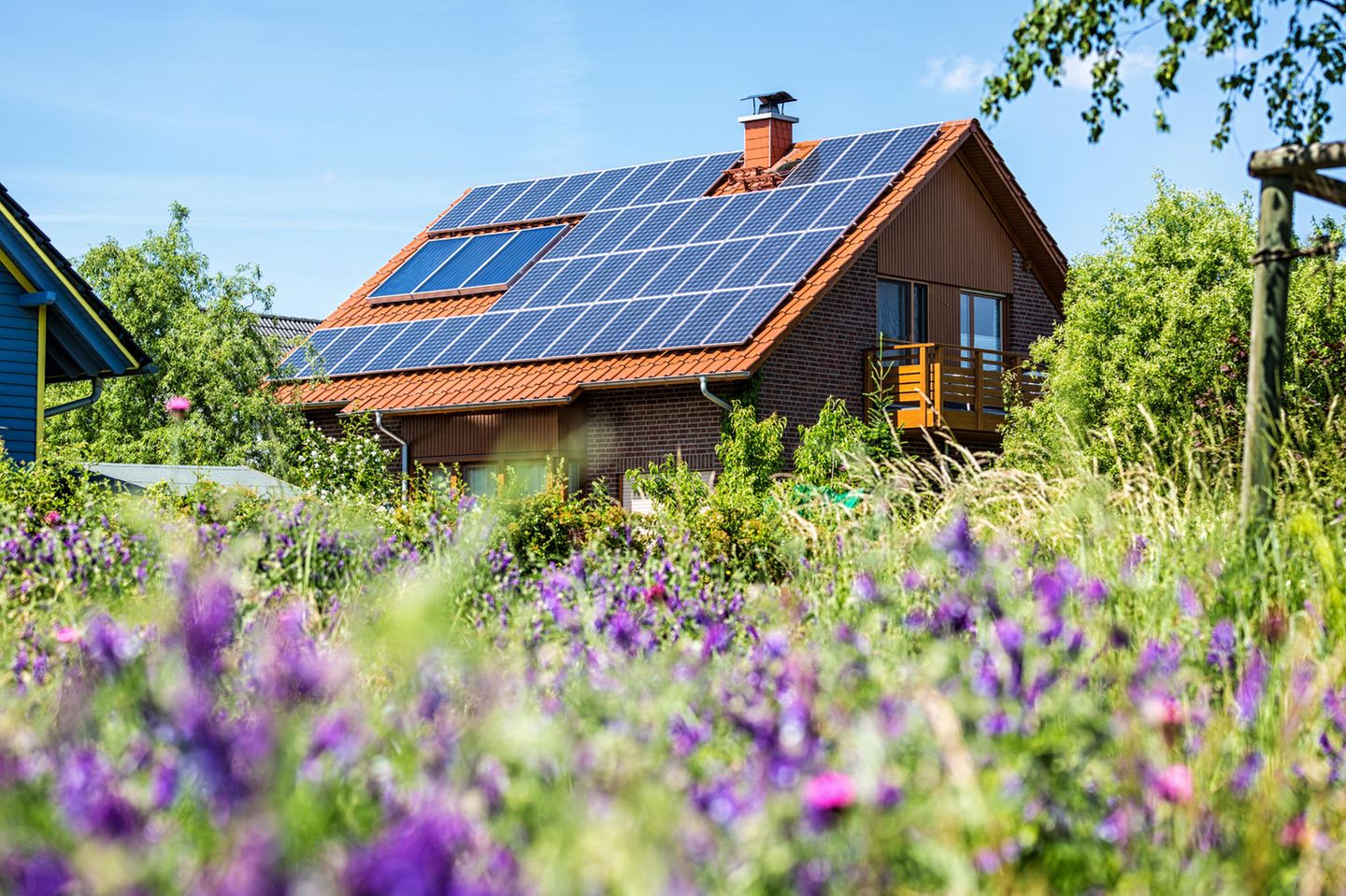 Der Hauskauf ist wieder attraktiver: Dieses Foto zeigt ein Einfamilienhaus mit Wiese