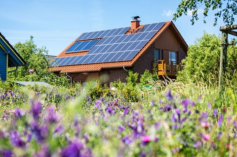 Der Hauskauf ist wieder attraktiver: Dieses Foto zeigt ein Einfamilienhaus mit Wiese