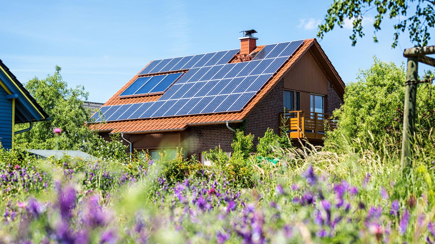 Buying a house: interest rates, condition, time – what you definitely need to consider