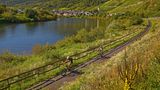 Mosel-Radweg
