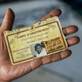 Ein Mann hält einen sehr alten vergilbten Ausweiß in der Hand darauf ein s/w Bild eines kleinen Jungen