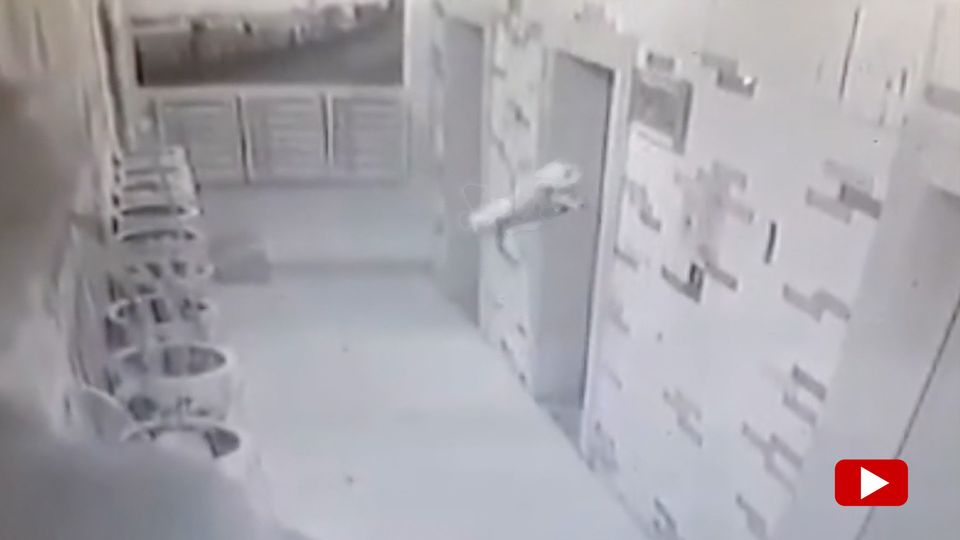 Schockmoment im Fahrstuhl: Angeleinter Hund verlässt Lift im letzten Moment