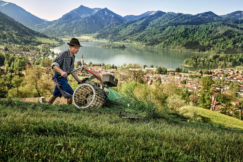 Almen in den bayerischen Alpen: 