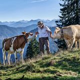 Ein Bauer steht mit zwei Kühen draußen vor Bergpanorama