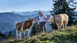 Ein Bauer steht mit zwei Kühen draußen vor Bergpanorama