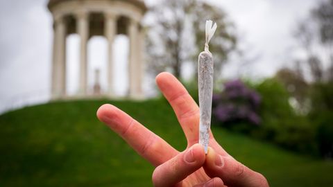 Cannabis-Legalisierung: Mann hält Joint in der Hand