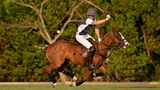 Prinz Harry spielt Polo