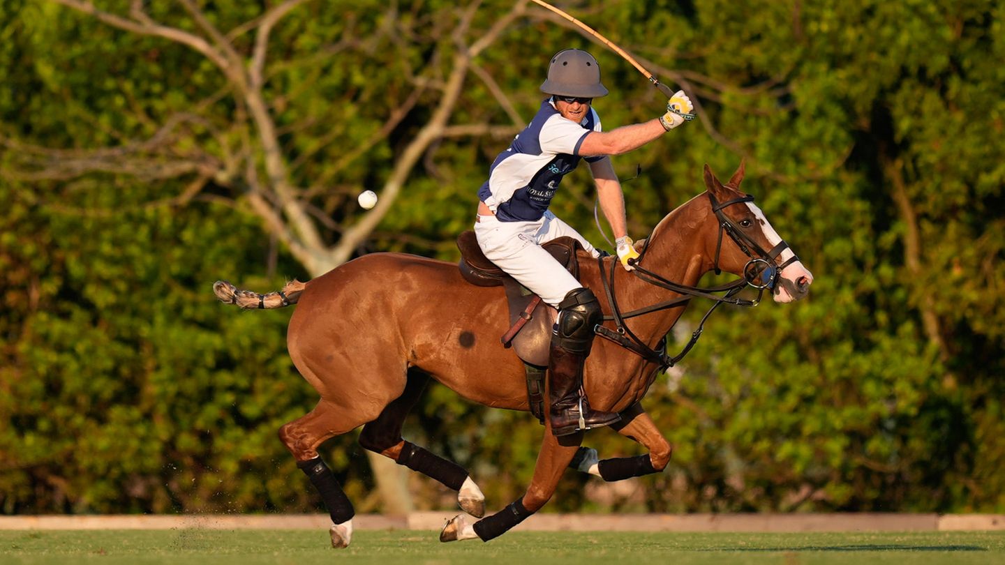 Prinz Harry spielt Polo