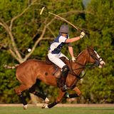 Prinz Harry spielt Polo