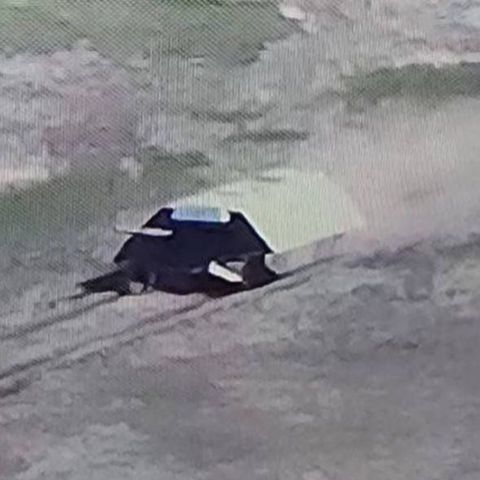 Screenshot des Schildkrötenpanzers