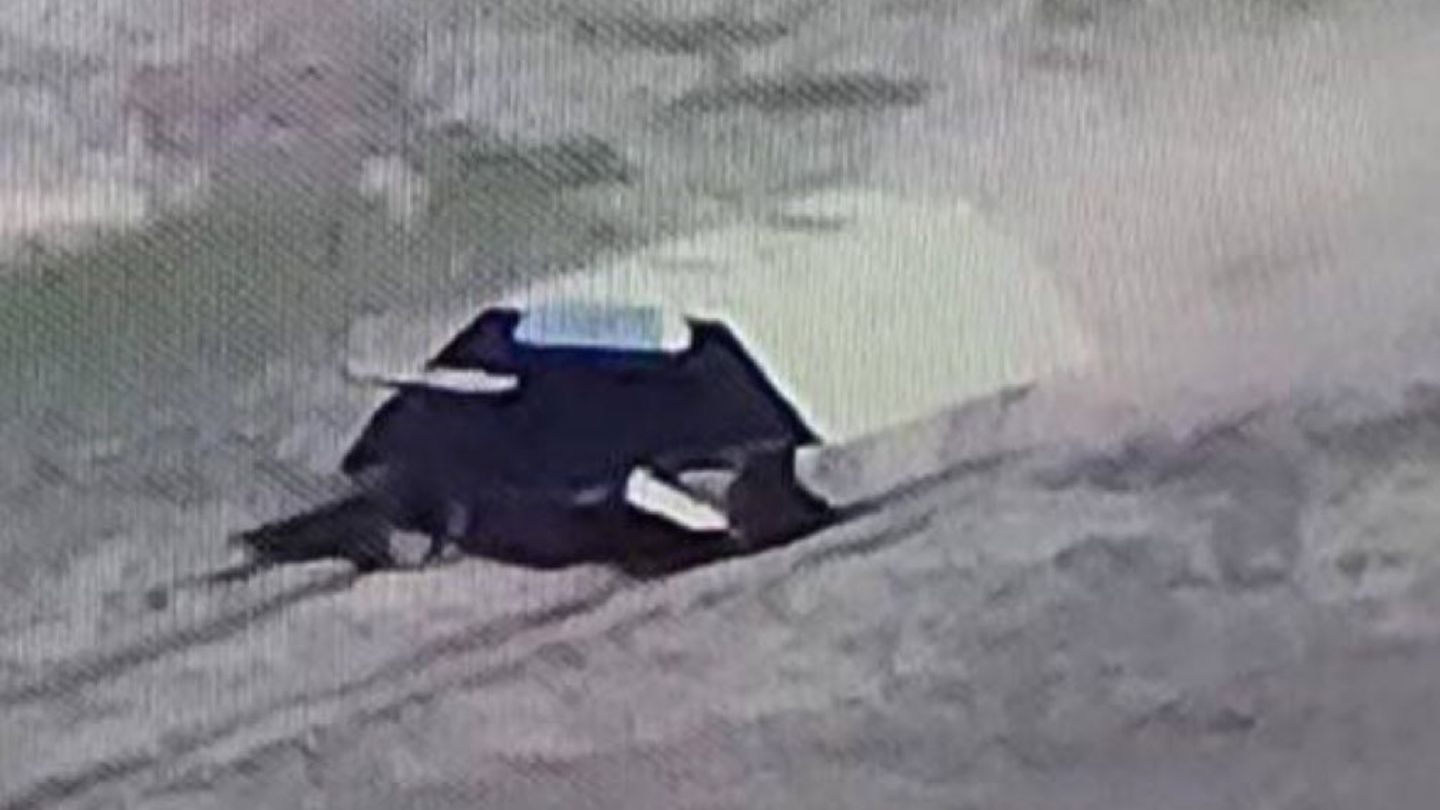 Screenshot des Schildkrötenpanzers