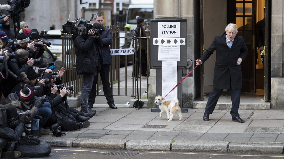 Boris Johnson mit Hund Dilyn Boris Johnson mit Hund Dilyn