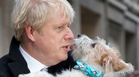 Ex-Premier Boris Johnson und sein Hund Dilyn: Der Vierbeiner wird verdächtigt, für eine Flohplage in der Downing Street verantwortlich zu sein.