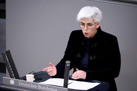 Ulle Schauws im Bundestag: