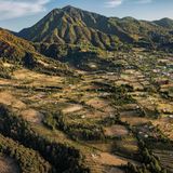 World Press Photo: Luftaufnahme von Avocadoplantagen vor dem Vulkangipfel im Bildhintergrund.