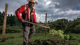 World Press Photo: José Humberto García Miranda bereitet mit einer Spitzhacke ein Erdloch für Tannensetzlinge.