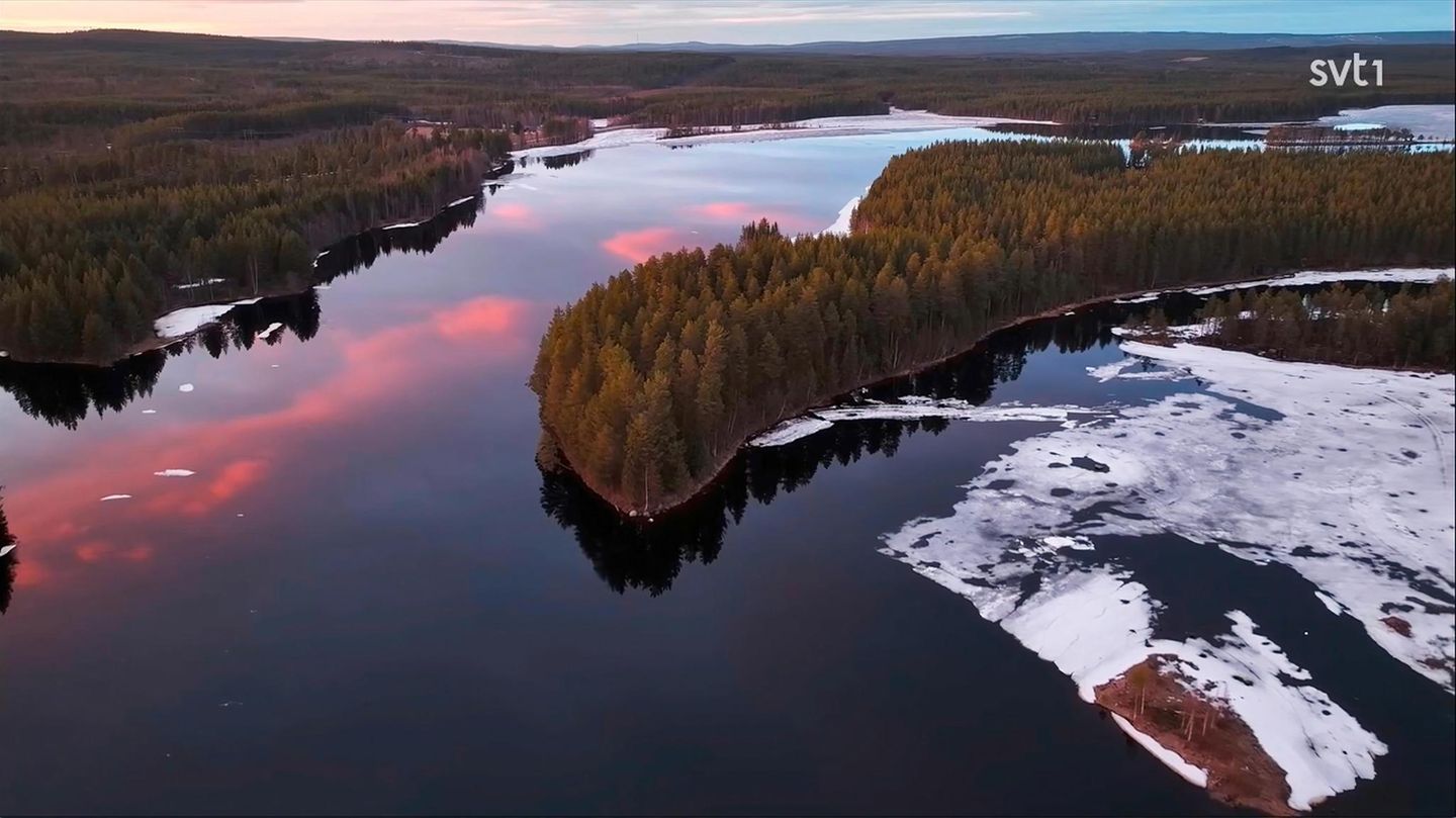 Luftaufnahme eines von den schwedischen Kameras observierten Elch-Gebiets